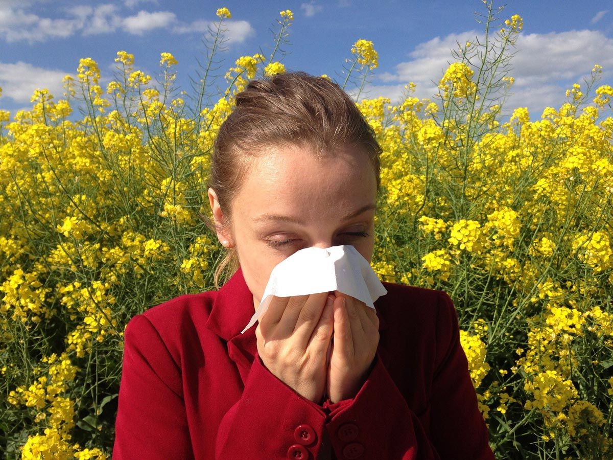 allergy season in bloom
